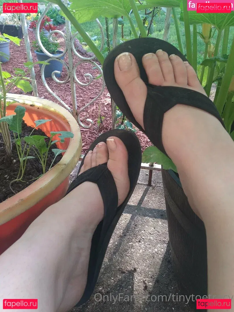 tinytoetracy Onlyfans Photo Gallery 