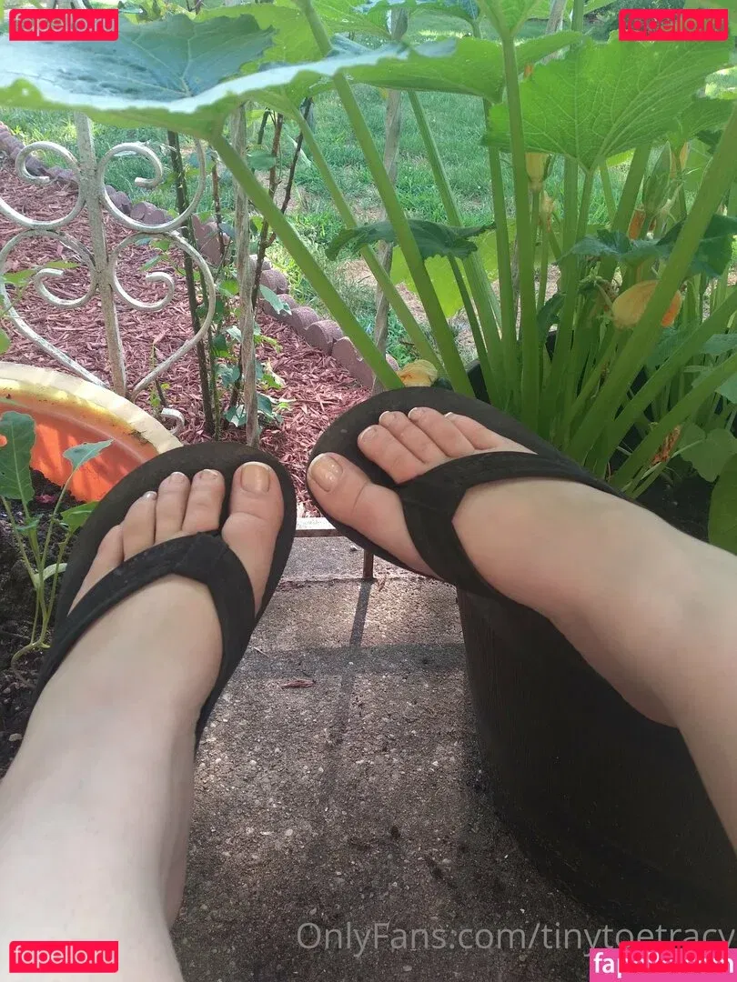 tinytoetracy Onlyfans Photo Gallery 