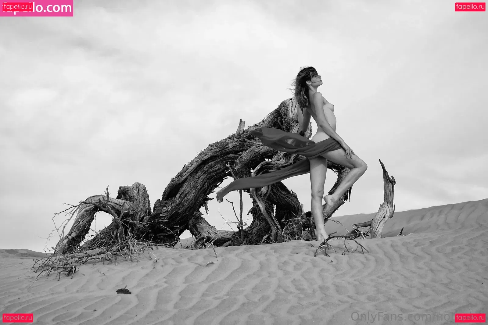 nomahill Onlyfans Photo Gallery 