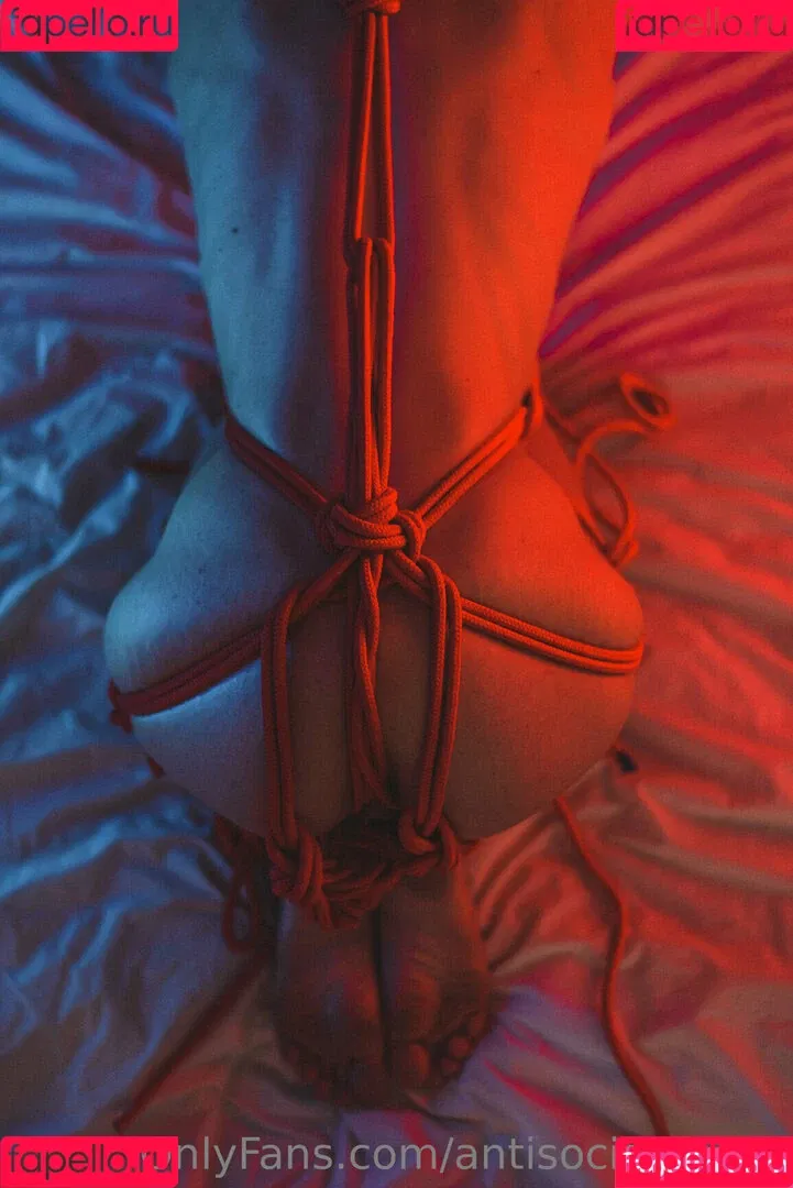 antisocial.moth Onlyfans Photo Gallery 