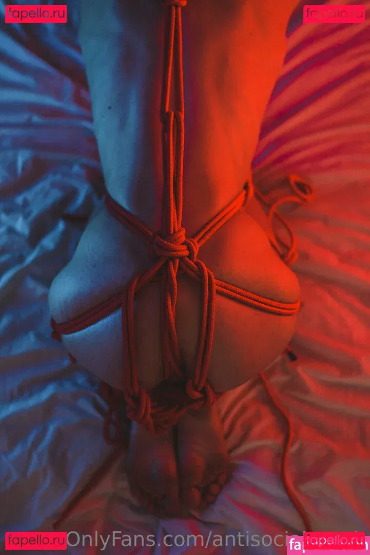 antisocial.moth Onlyfans Photo Gallery 