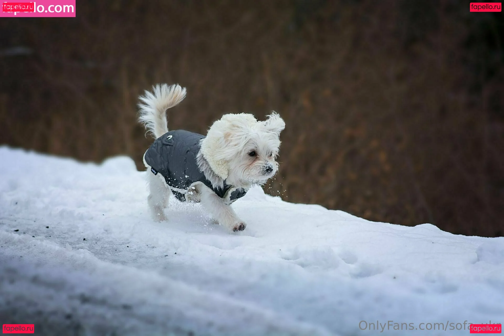 sofa_ukr Onlyfans Photo Gallery 