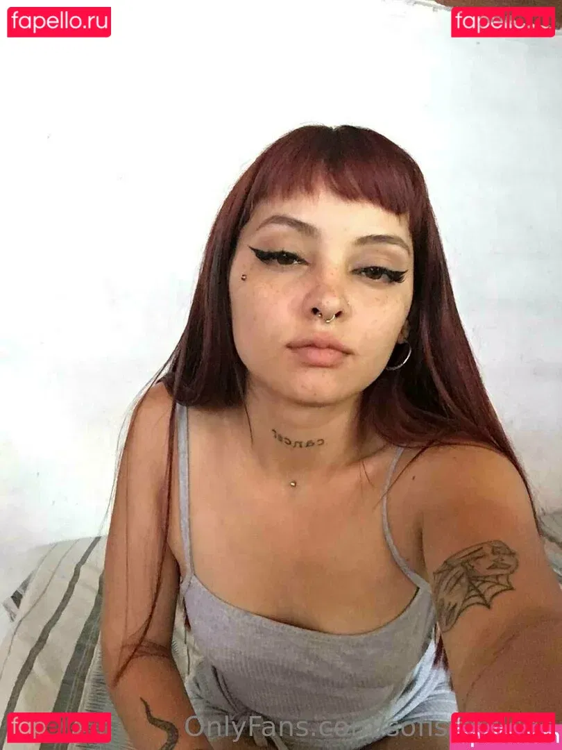 sofisfreckles Onlyfans Photo Gallery 