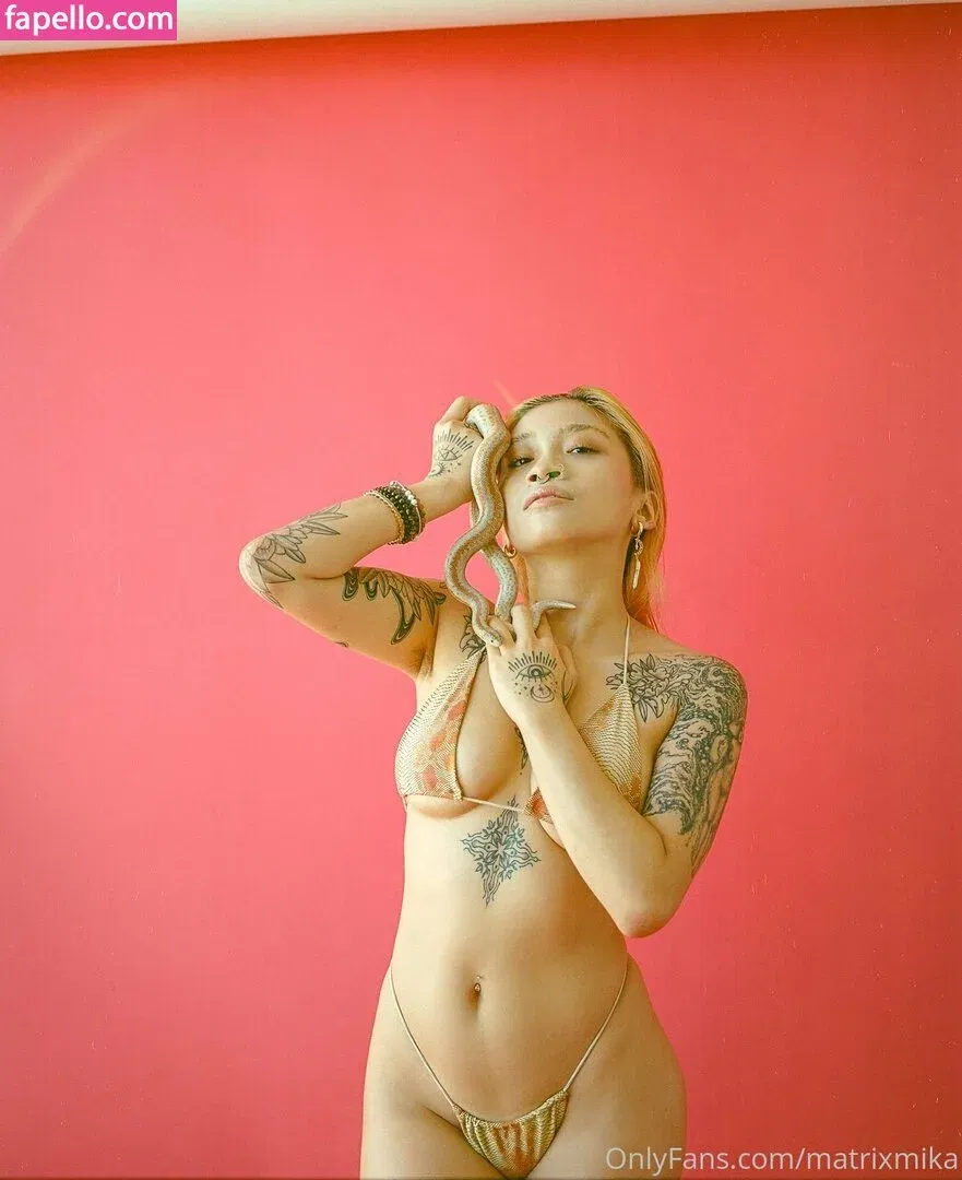 Matrixmika Onlyfans Photo Gallery 