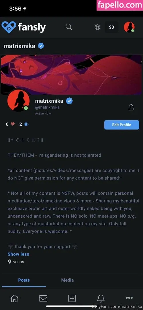 Matrixmika Onlyfans Photo Gallery 