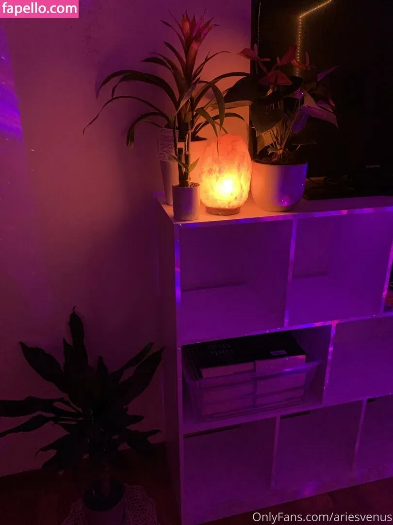 Matrixmika Onlyfans Photo Gallery 