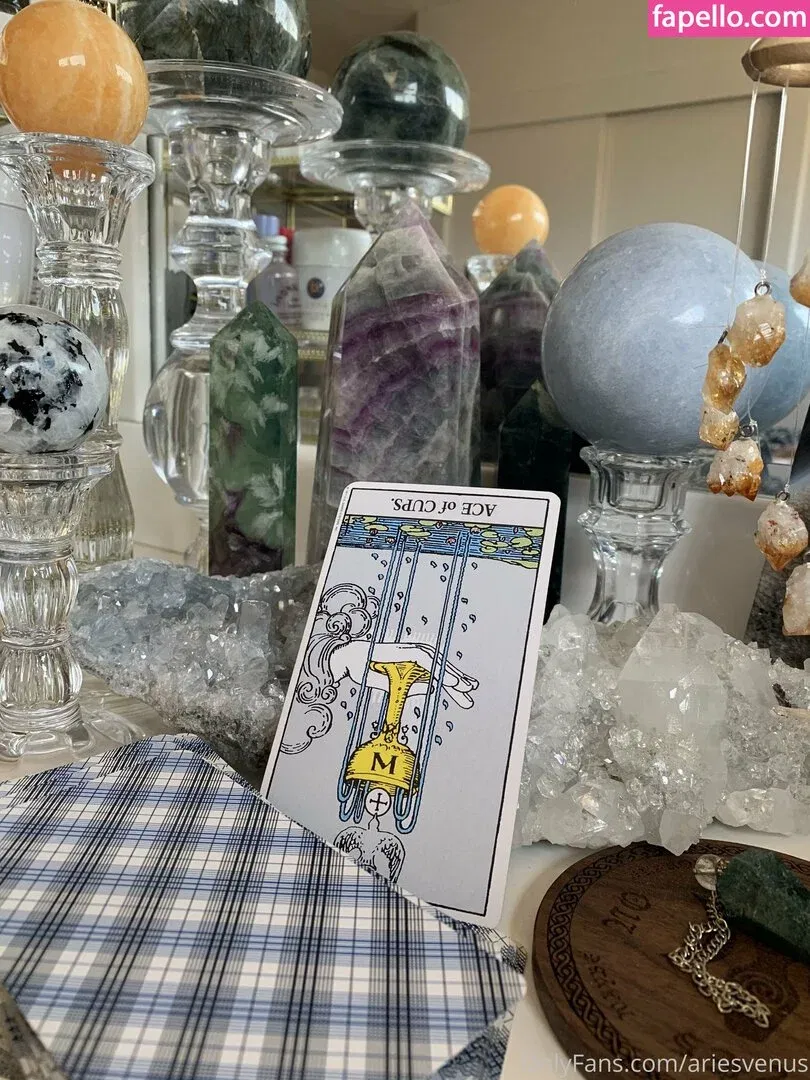 Matrixmika Onlyfans Photo Gallery 