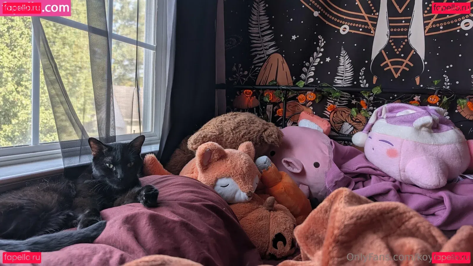 Koyomatsu Onlyfans Photo Gallery 