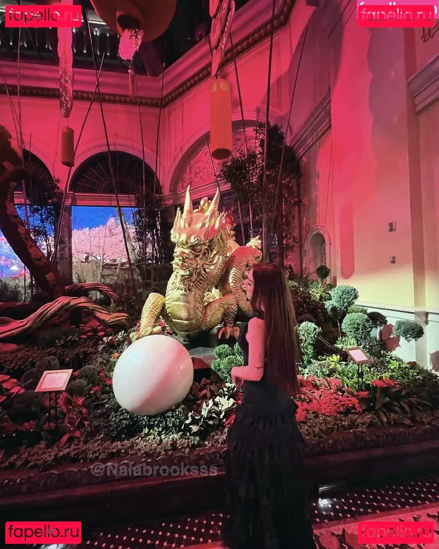 Nala Brooks Onlyfans Photo Gallery 