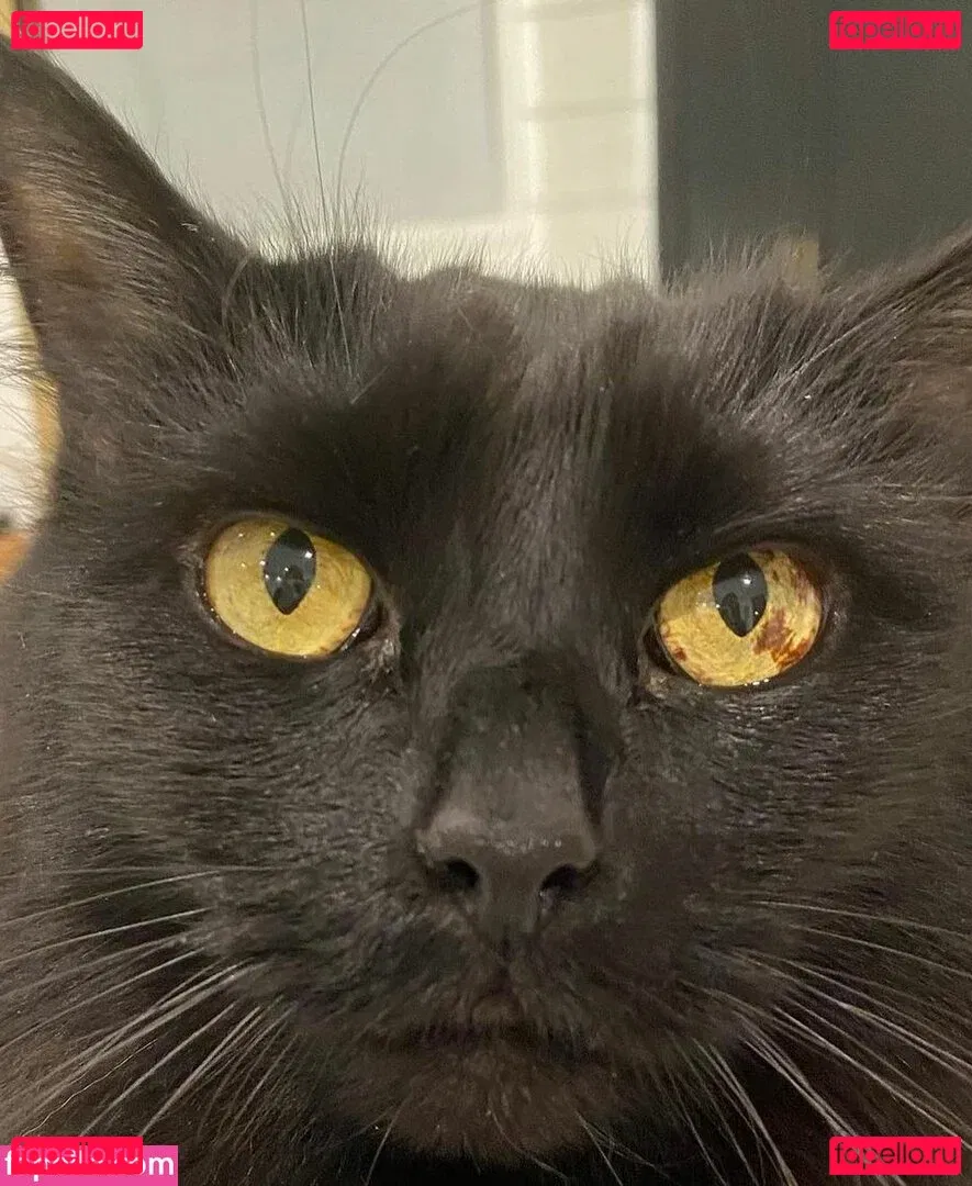 Jeri Ryan Onlyfans Photo Gallery 