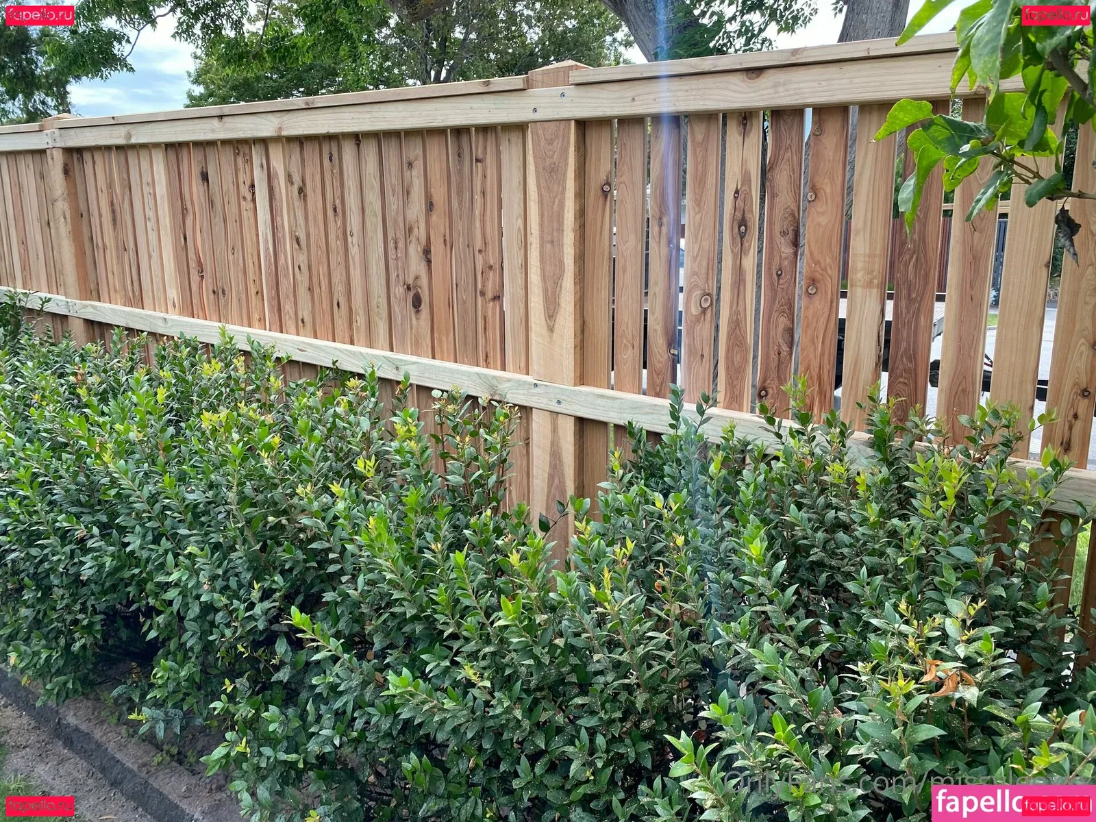 dvpgirlnextdoorxxx Onlyfans Photo Gallery 