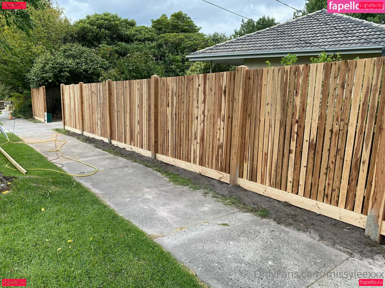 dvpgirlnextdoorxxx Onlyfans Photo Gallery 