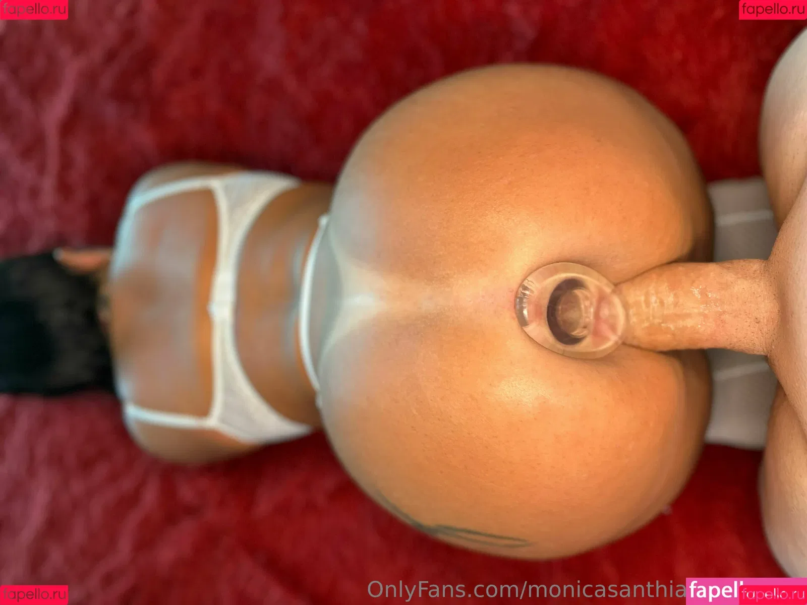 monicasanthiago_fullvids Onlyfans Photo Gallery 
