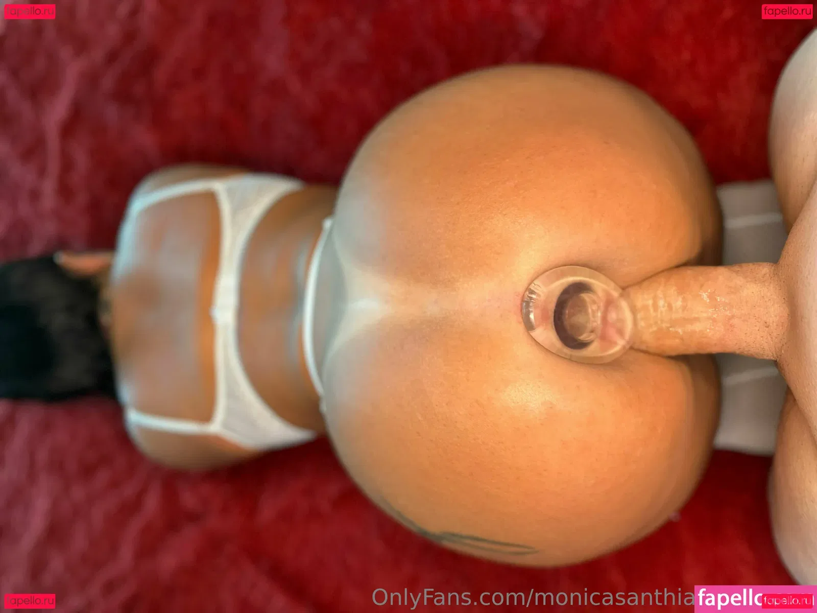 monicasanthiago_fullvids Onlyfans Photo Gallery 