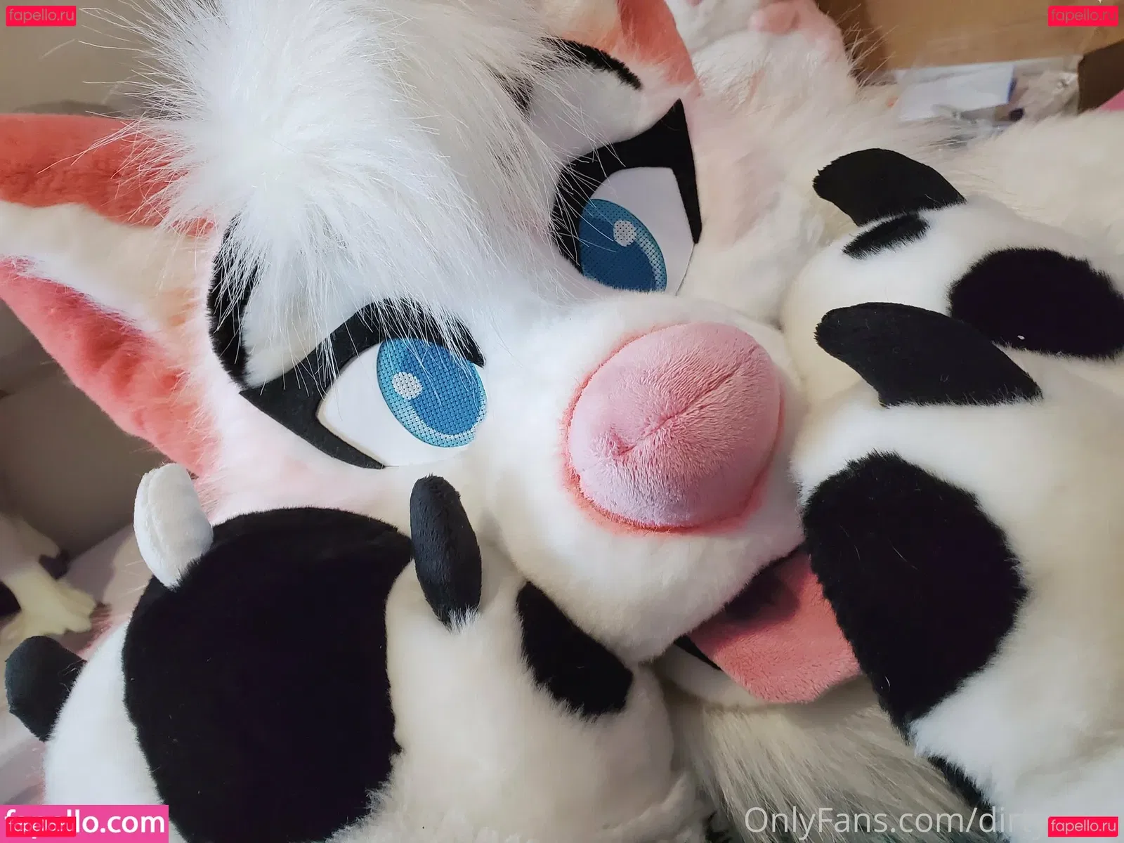 dirtydotti Onlyfans Photo Gallery 