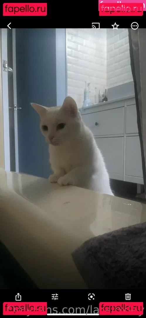 laraloxley Onlyfans Photo Gallery 