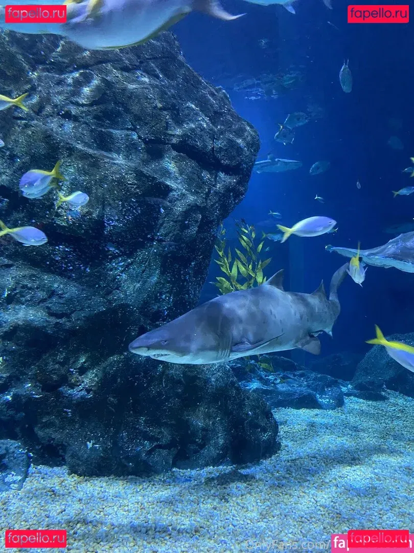 onyour_bunny Onlyfans Photo Gallery 