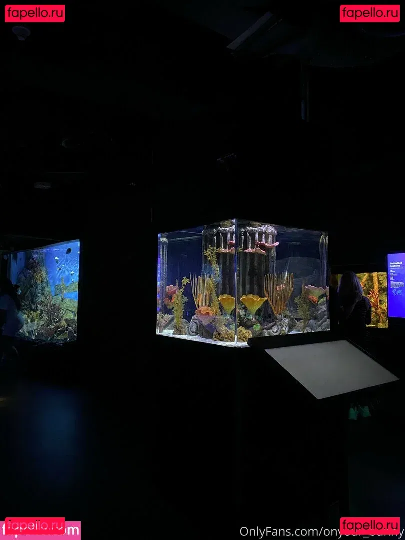 onyour_bunny Onlyfans Photo Gallery 