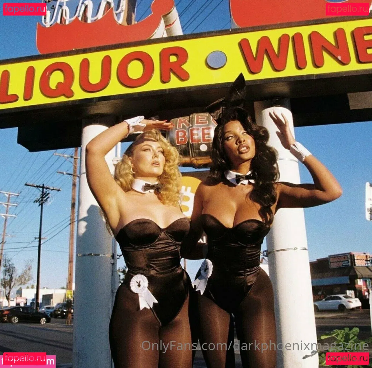 darkphoenixvip Onlyfans Photo Gallery 