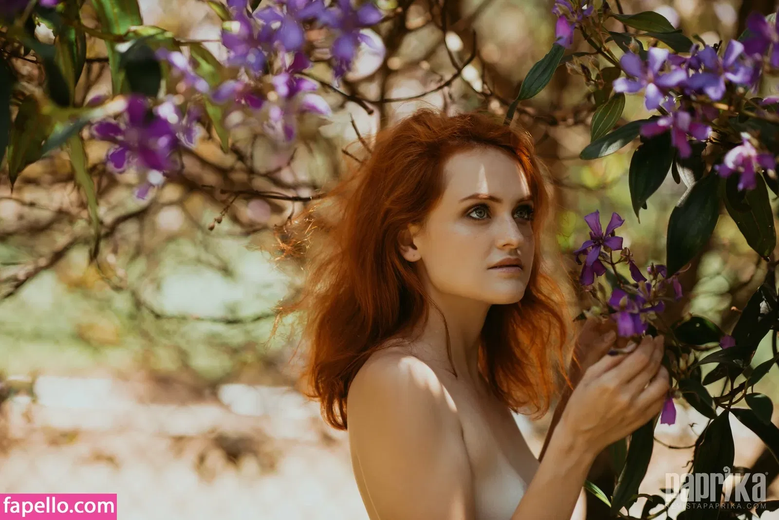 Paprika Onlyfans Photo Gallery 