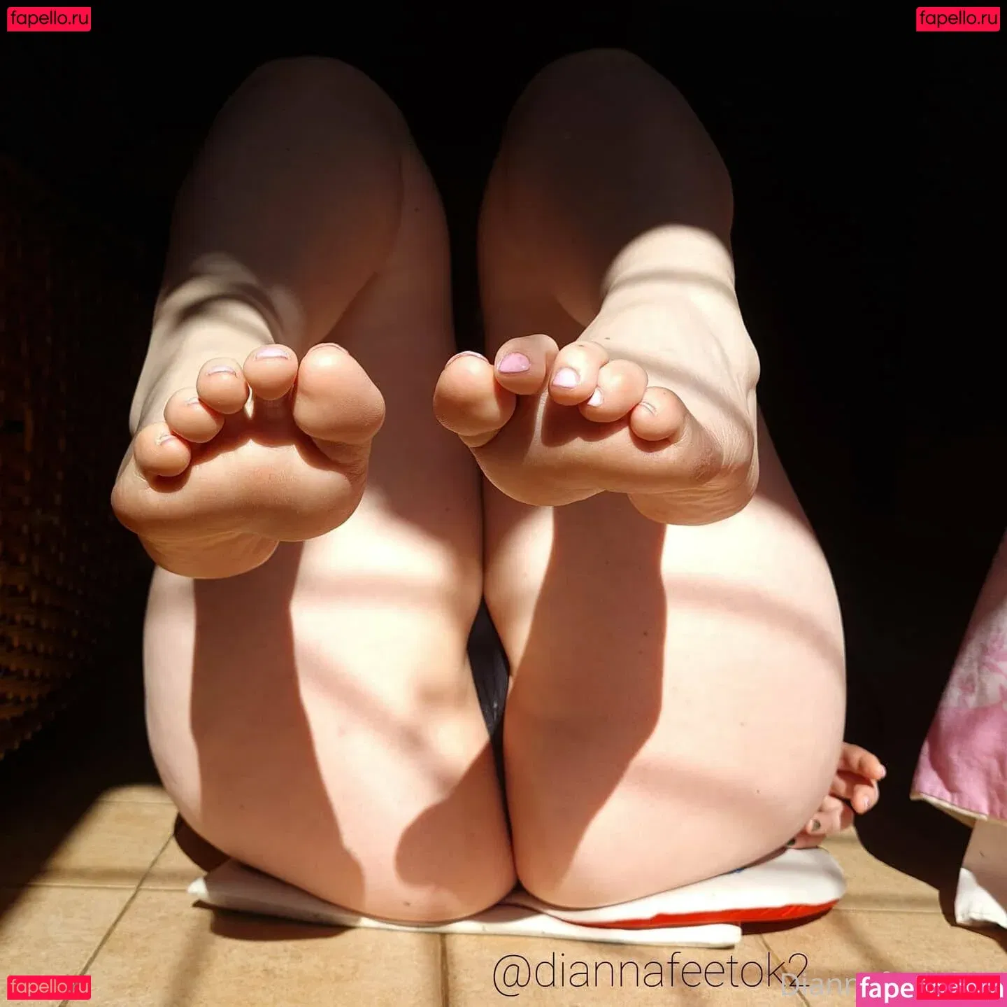 diannamoore Onlyfans Photo Gallery 