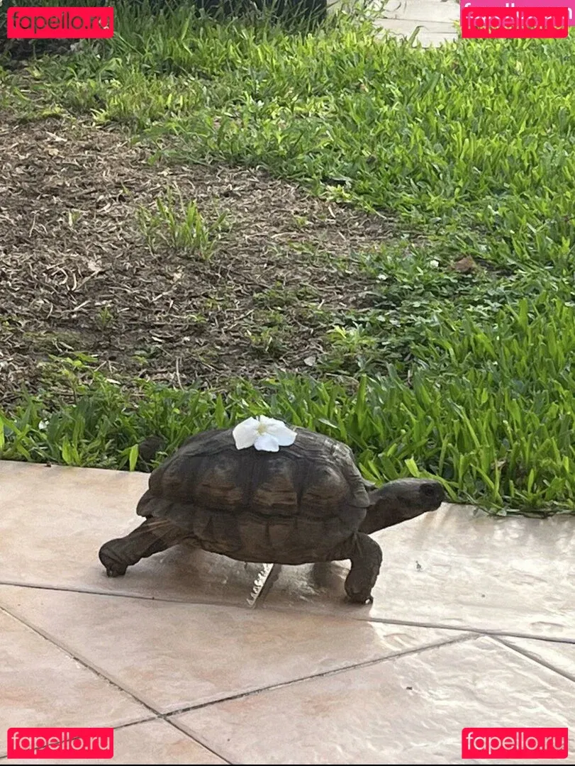 elizabet739 Onlyfans Photo Gallery 