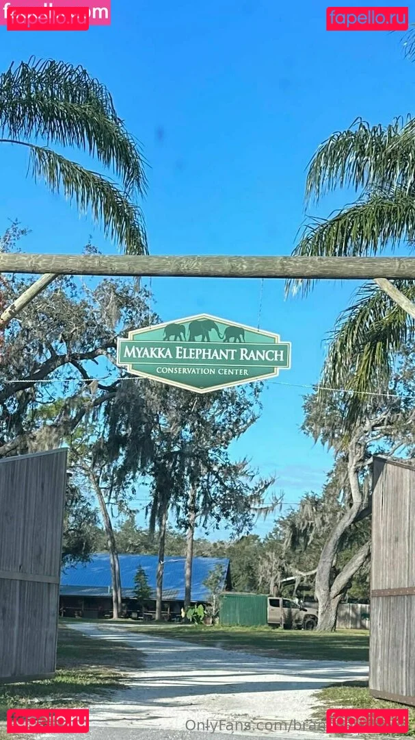 brandilovefreee Onlyfans Photo Gallery 