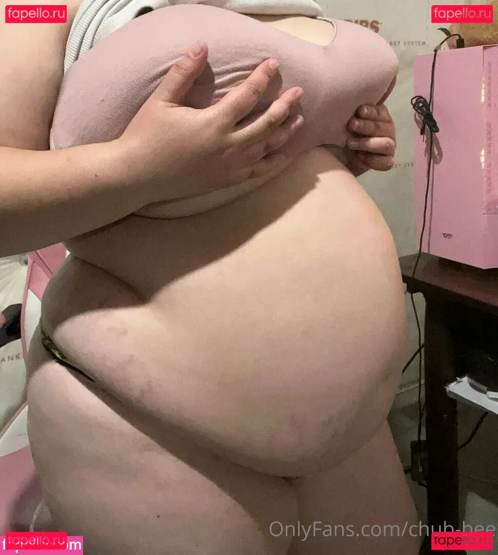 chub-bee Onlyfans Photo Gallery 