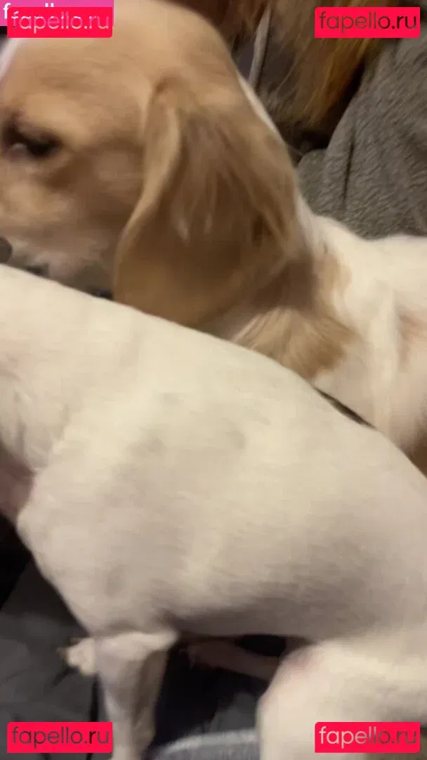 Anya Marie Onlyfans Photo Gallery 