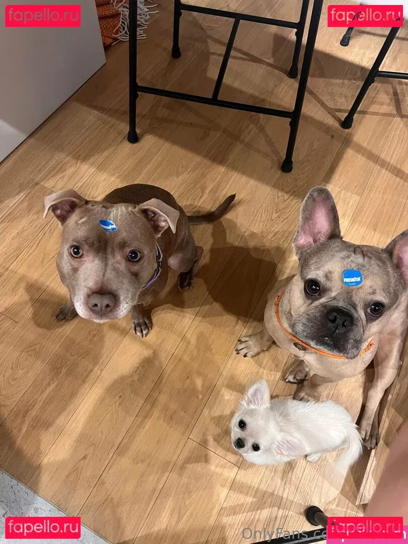 bribunn Onlyfans Photo Gallery 