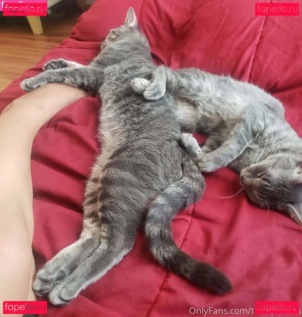 thickprsoles Onlyfans Photo Gallery 