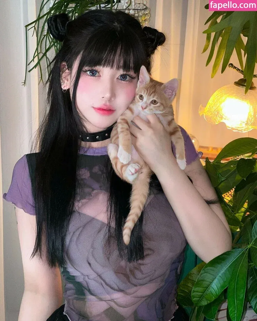 Naughty Rabbit Onlyfans Photo Gallery 