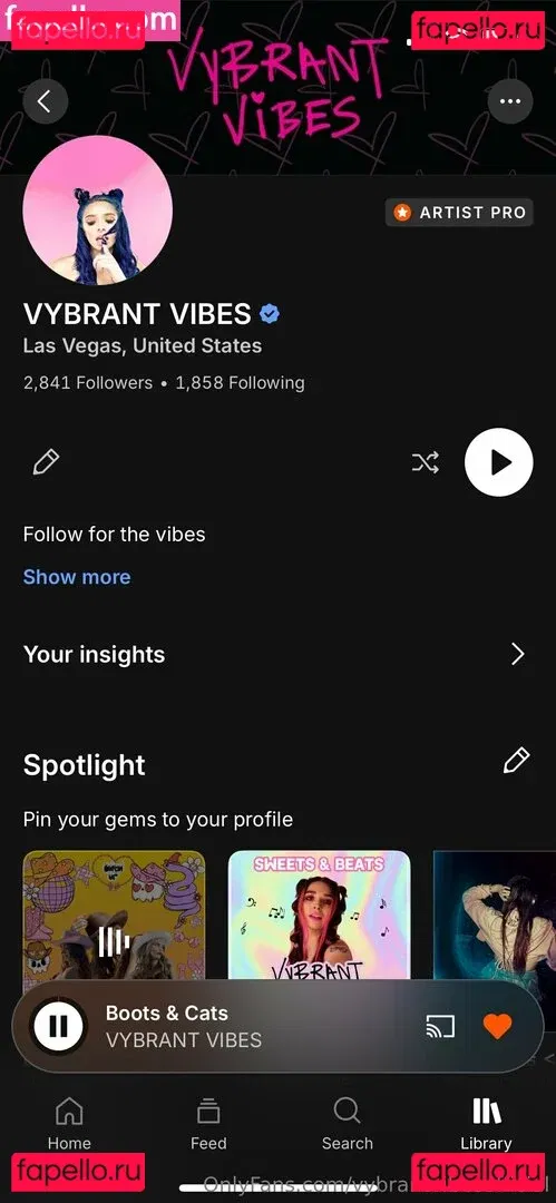 vybrantvibesofficial Onlyfans Photo Gallery 