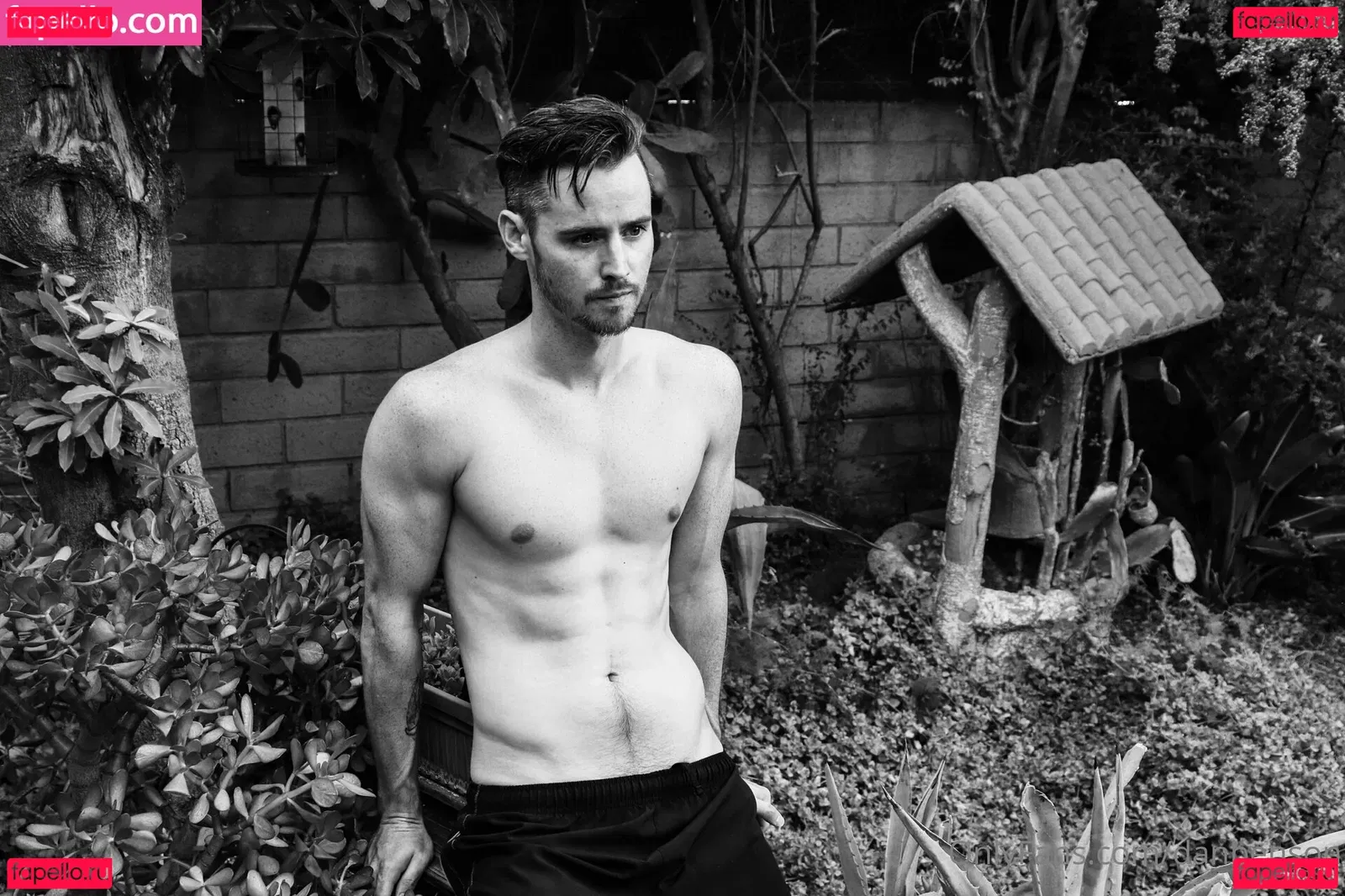 danbenson Onlyfans Photo Gallery 