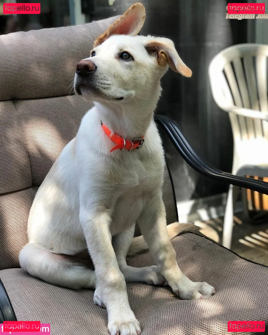 Megan Gaiga Onlyfans Photo Gallery 