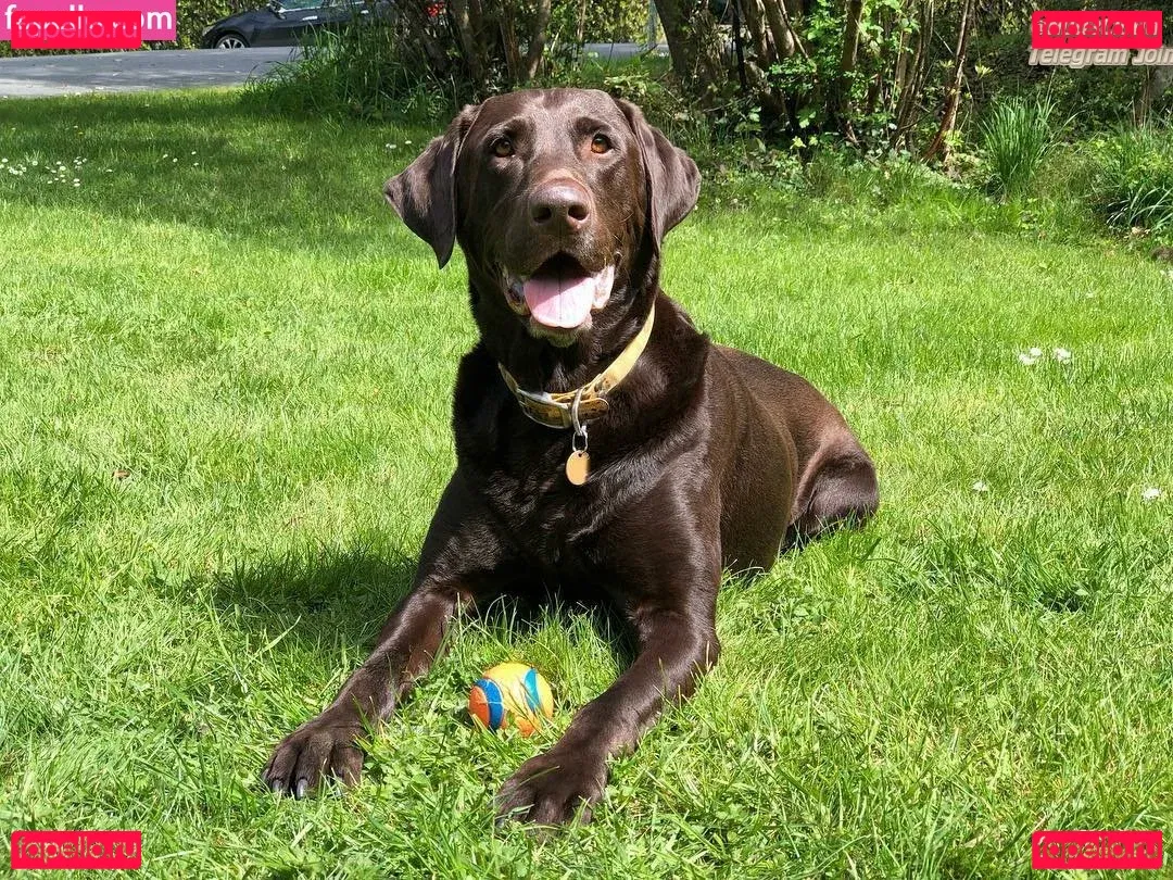 Megan Gaiga Onlyfans Photo Gallery 