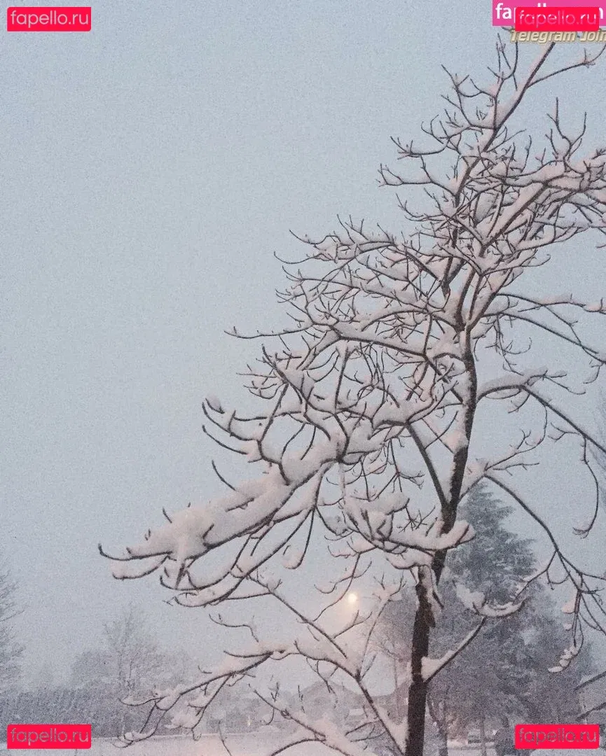 Megan Gaiga Onlyfans Photo Gallery 