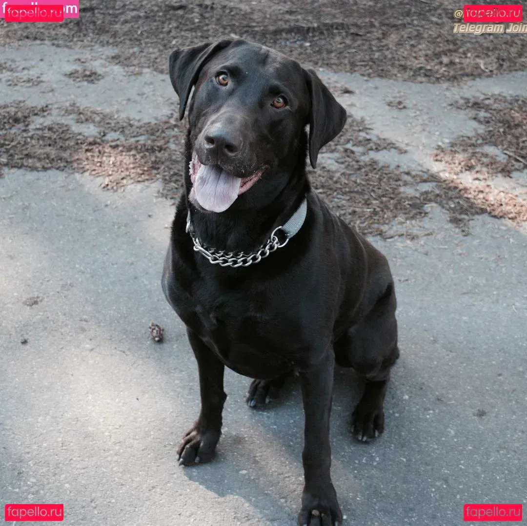 Megan Gaiga Onlyfans Photo Gallery 