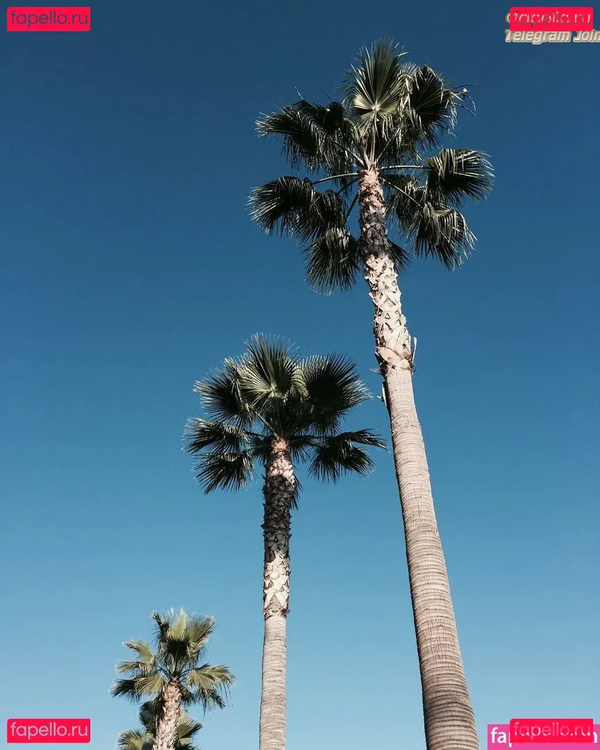 Megan Gaiga Onlyfans Photo Gallery 