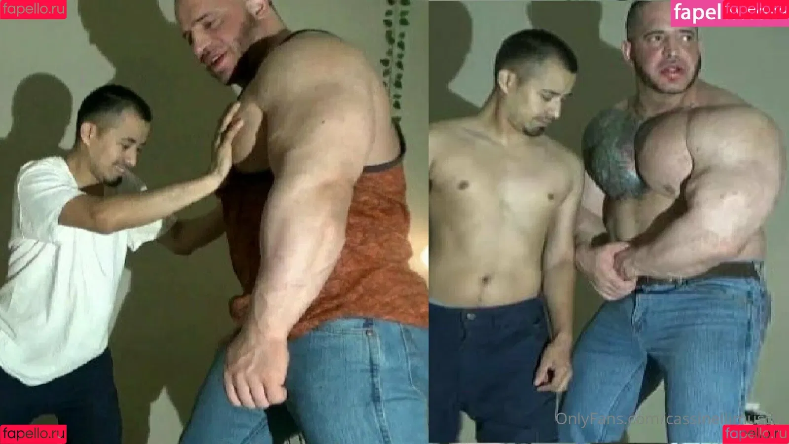 musclesexual Onlyfans Photo Gallery 