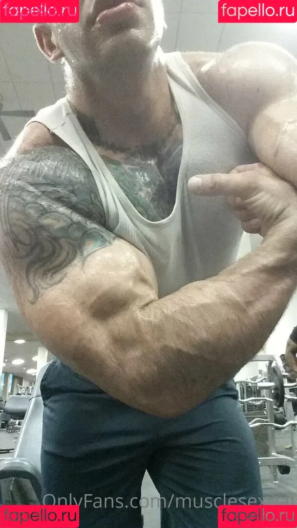 musclesexual Onlyfans Photo Gallery 