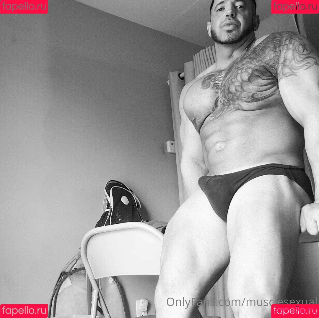 musclesexual Onlyfans Photo Gallery 