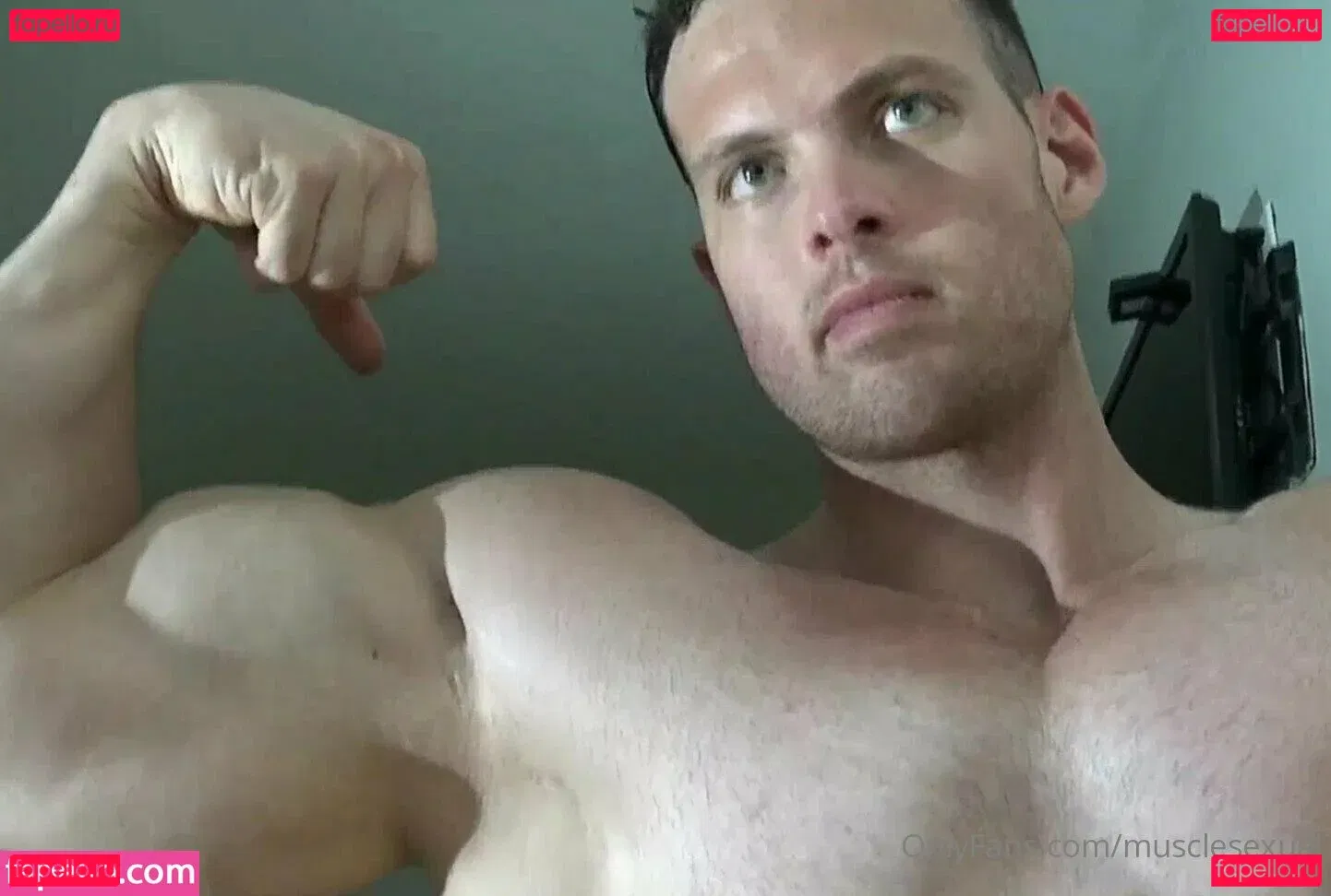 musclesexual Onlyfans Photo Gallery 