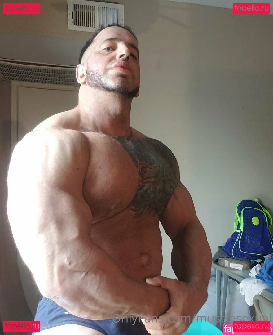 musclesexual Onlyfans Photo Gallery 