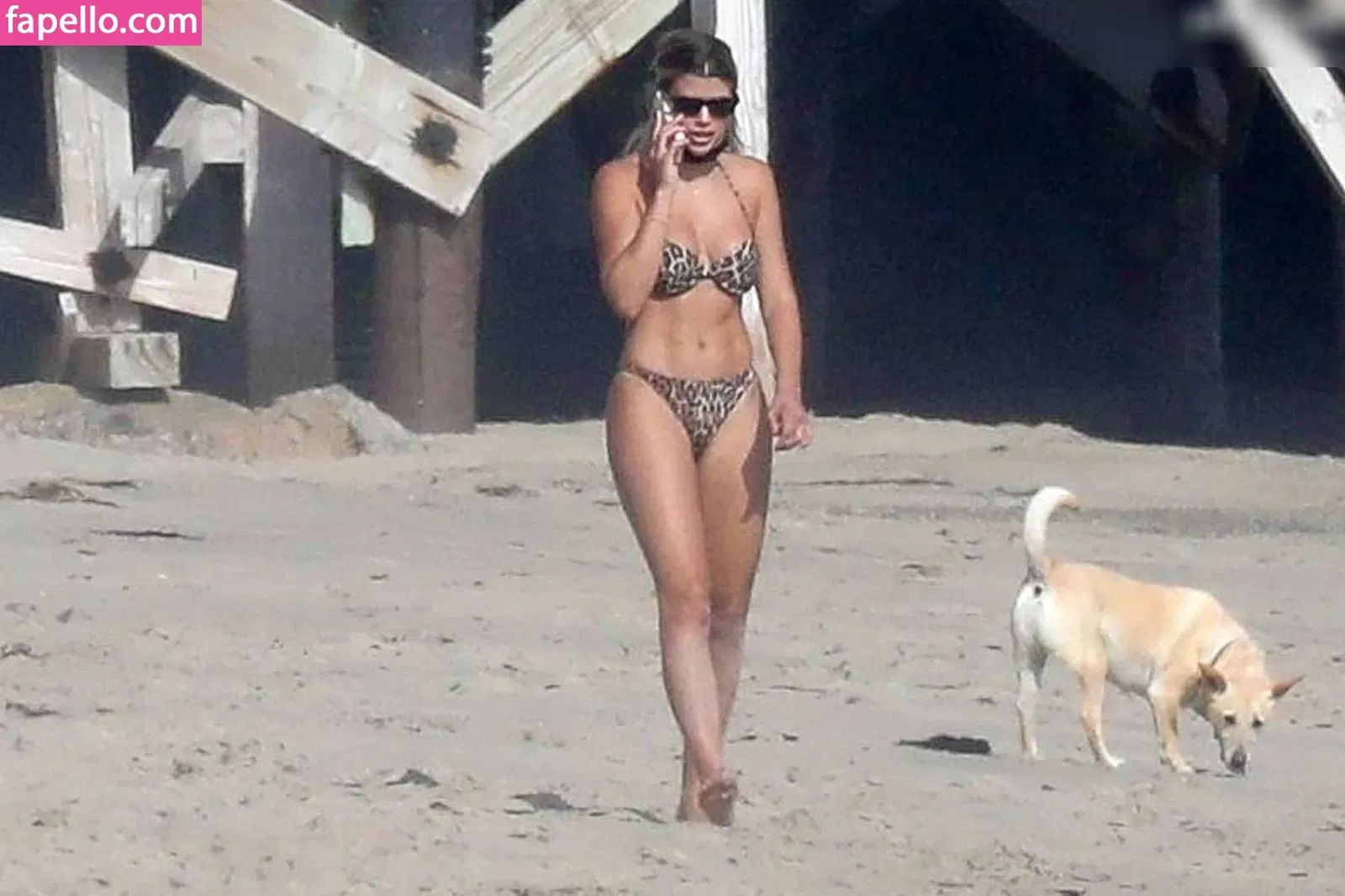 Sofia Richie Onlyfans Photo Gallery 