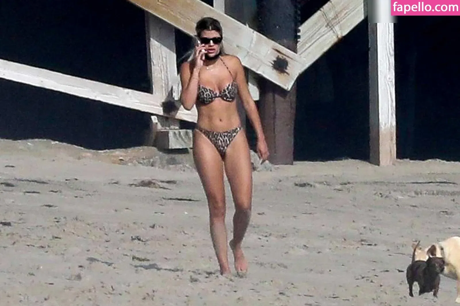 Sofia Richie Onlyfans Photo Gallery 