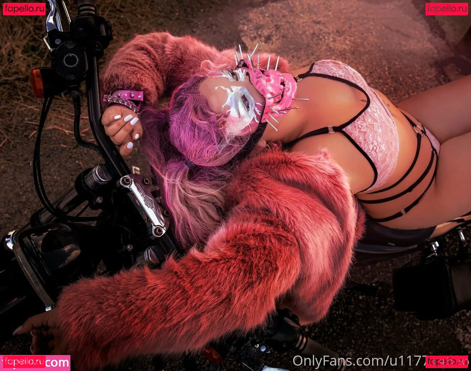 fantasyani Onlyfans Photo Gallery 