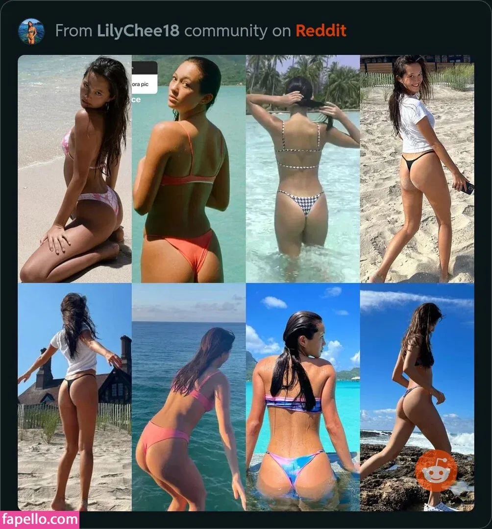 Lily Chee Onlyfans Photo Gallery 