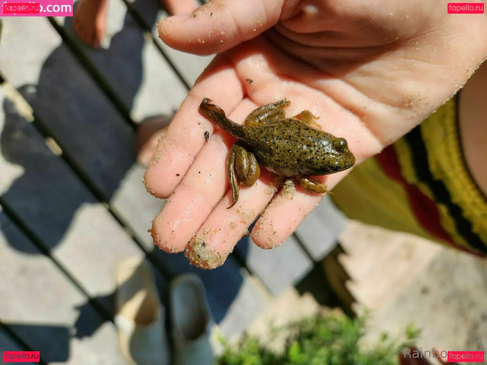 u69507126 Onlyfans Photo Gallery 