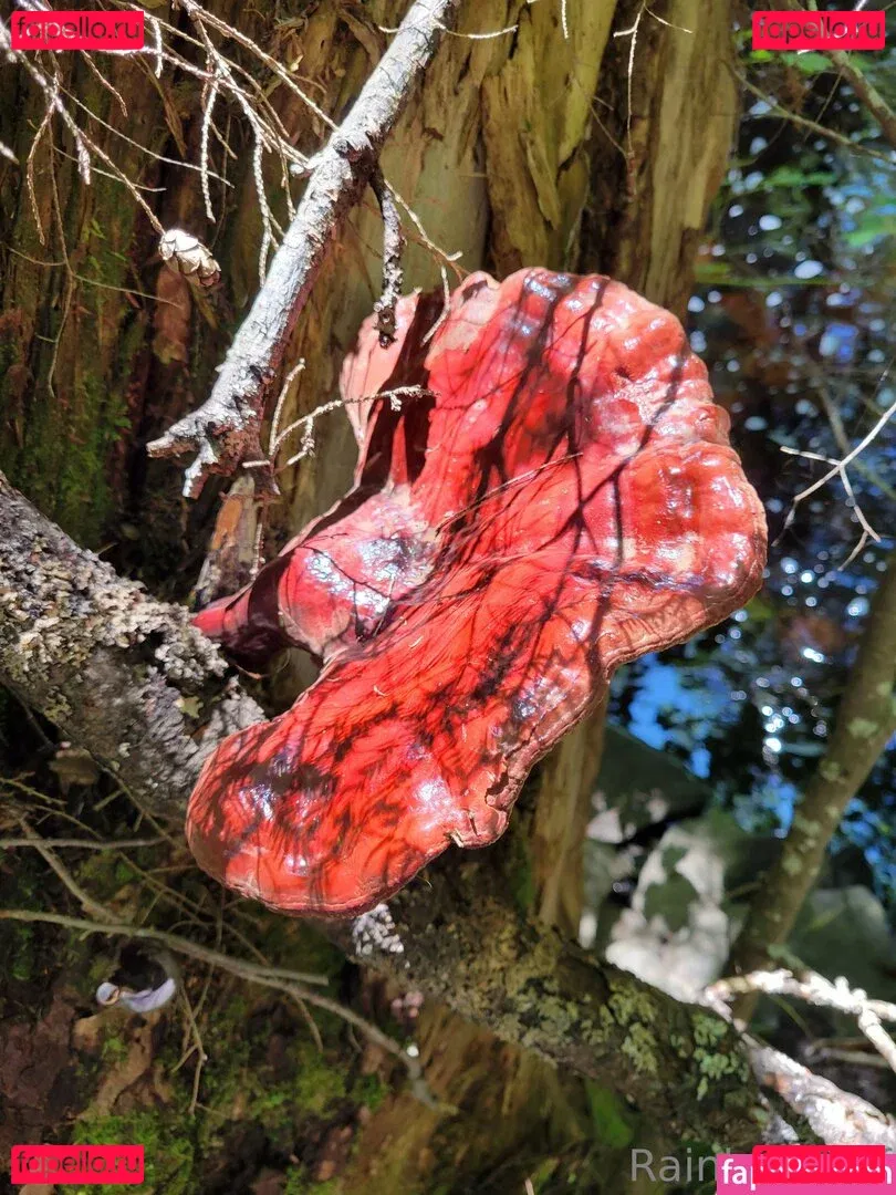 u69507126 Onlyfans Photo Gallery 